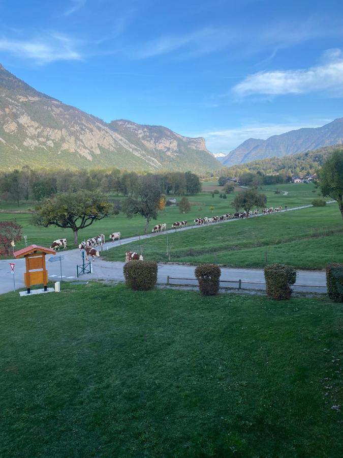 Appartamento Le Nid Du Birdie, Giez, Proche Du Lac D'Annecy Esterno foto